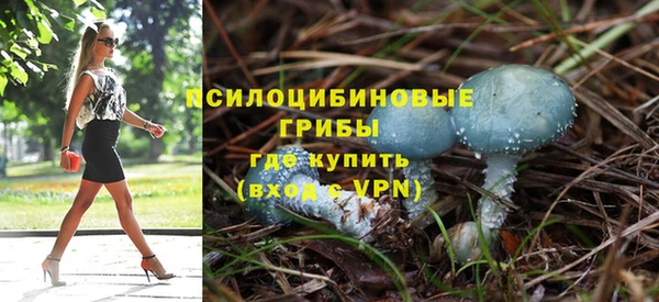 прущая мука Богородск
