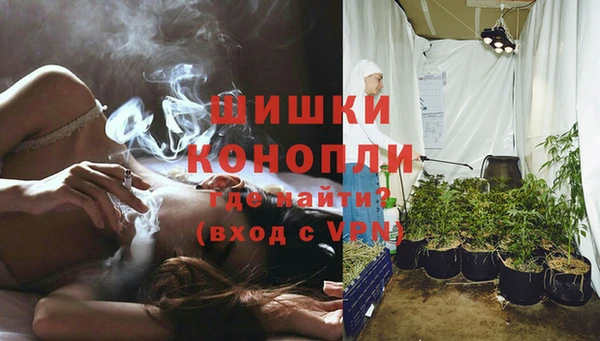 прущая мука Богородск
