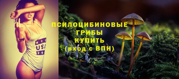 прущая мука Богородск